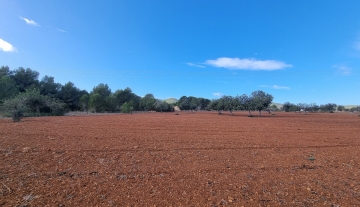 Resa Estates plots santa Gertrudis Ibiza for sale te koop 1 .jpg